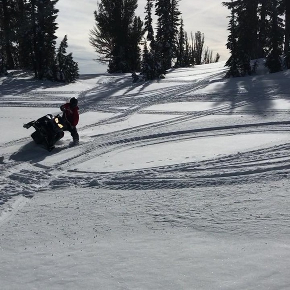 Meet your Posher, Nic - Picture 1 of 1